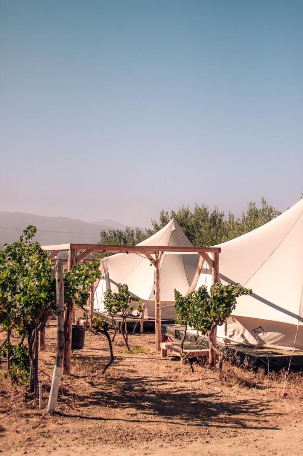The Pangea Valle De Guadalupe Zewnętrze zdjęcie